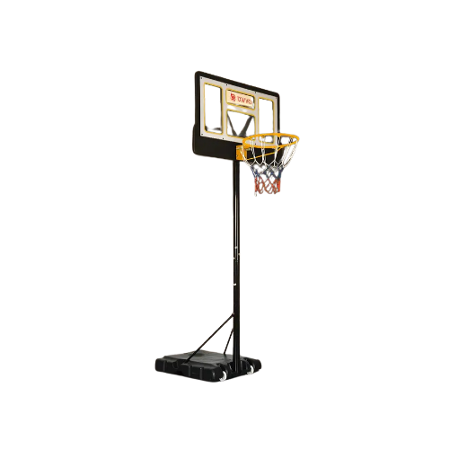 Same-Day Professional Basketball Hoop Assembly